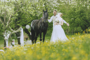 Heiraten im Grünen